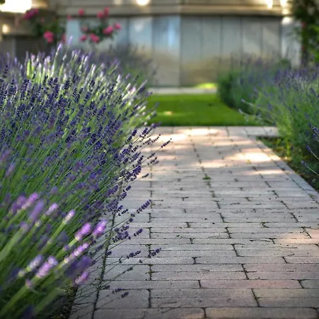 Alojamento de Acomodação e Pequeno-almoço Jokai 3*