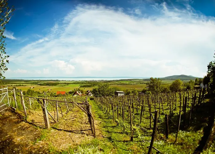 Bed & Breakfast Jokai Siófok